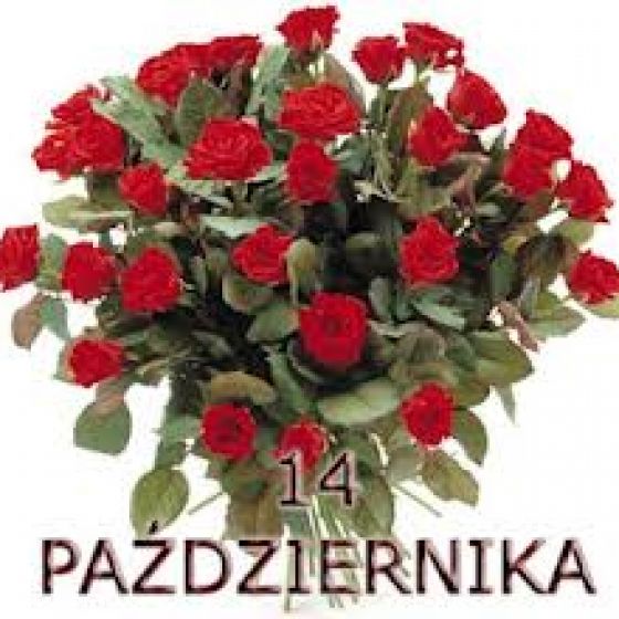 images_1x1.jpg